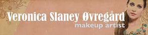 slaney makeup banner 02